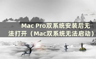 Mac Pro双系统安装后无法打开（Mac双系统无法启动）